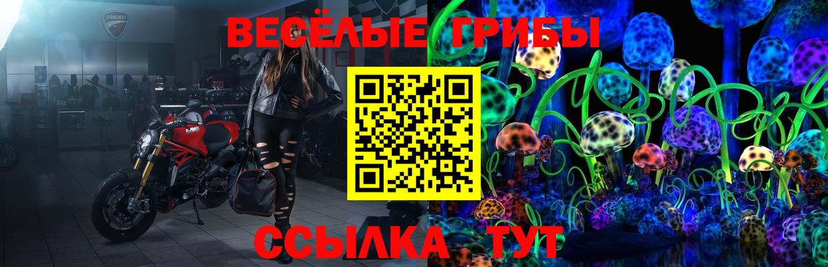 Галлюциногенные грибы Psilocybine cubensis  Галлюциногенные грибы Psilocybe  Вход с VPN  Саранск 
