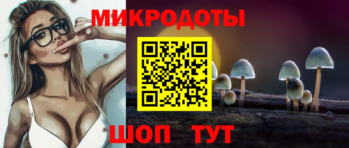 Псилоцибиновые грибы Cubensis Саранск